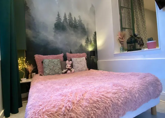 Grand Appartement Haussmanien De Standing Avec Jacuzzi Terrasse Et Parking En Hyper Centre